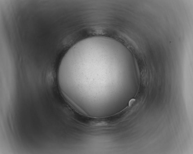 X0000102310747200808081605