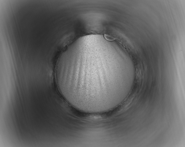 X0000102310749200808081605