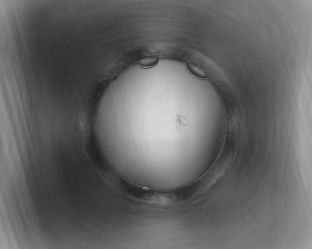 X0000102310751200808081605