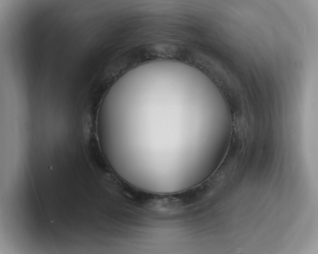 X0000102310752200808081605