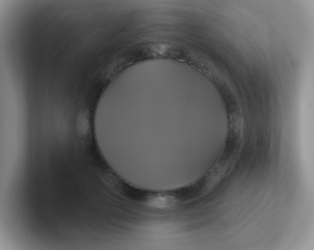 X0000102310754200808081606