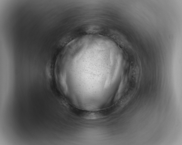 X0000102310755200808081606