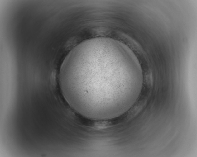 X0000102310757200808081606