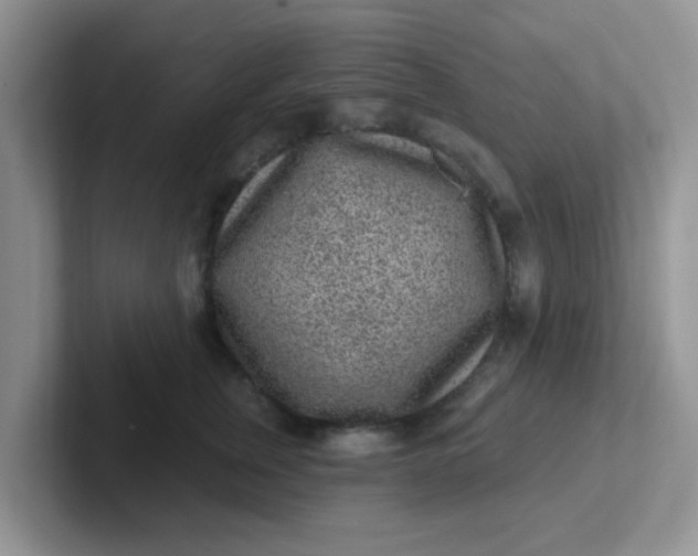 X0000102310759200808081606