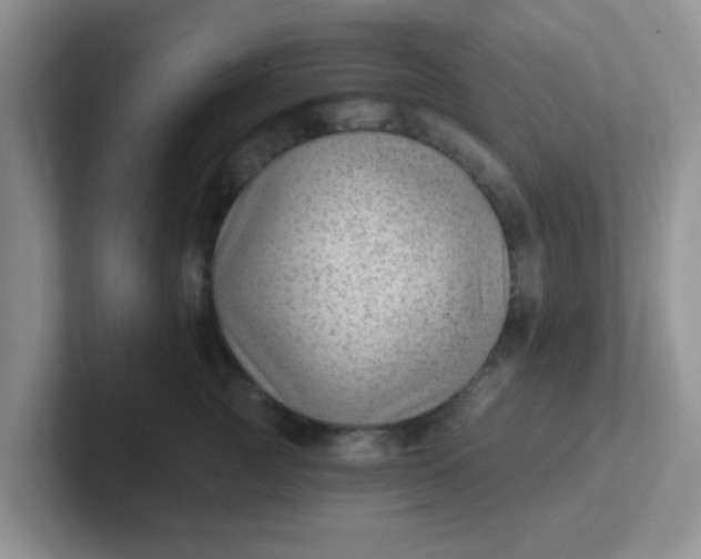 X0000102310761200808081606