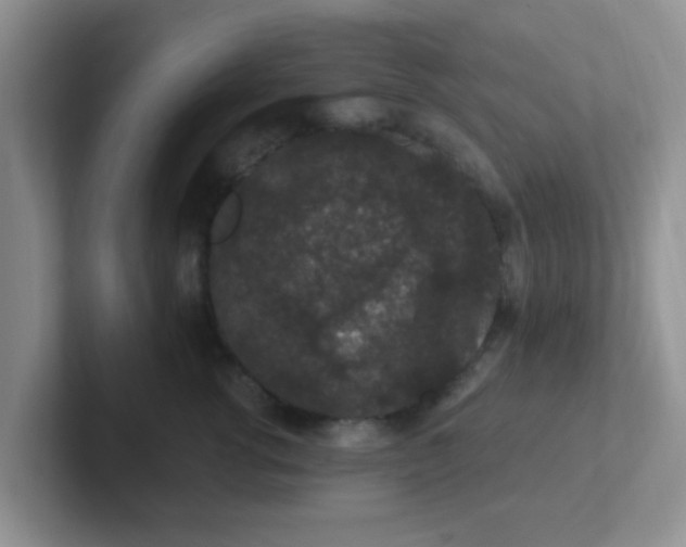 X0000102310762200808081606