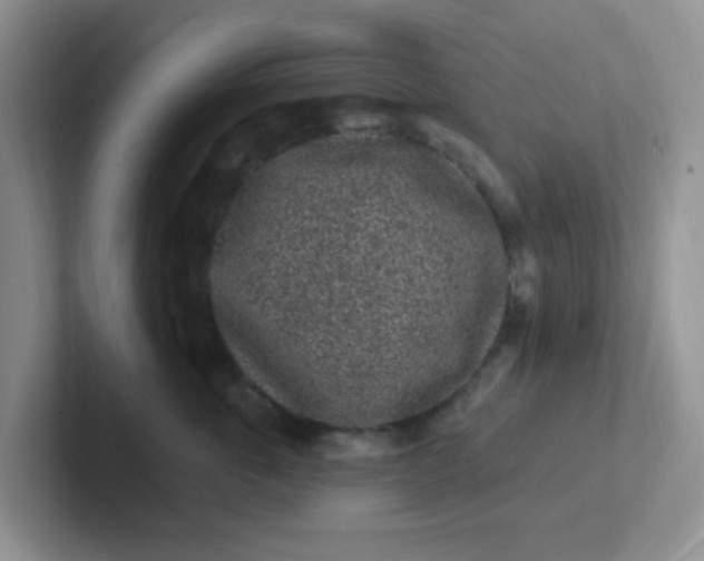 X0000102310763200808081606