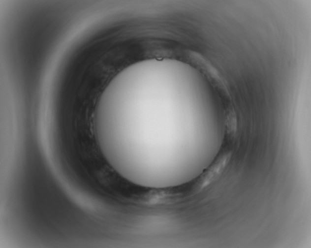 X0000102310764200808081606