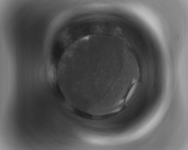 X0000102310766200808081606