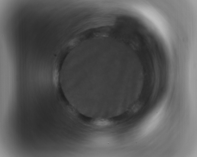 X0000102310767200808081606