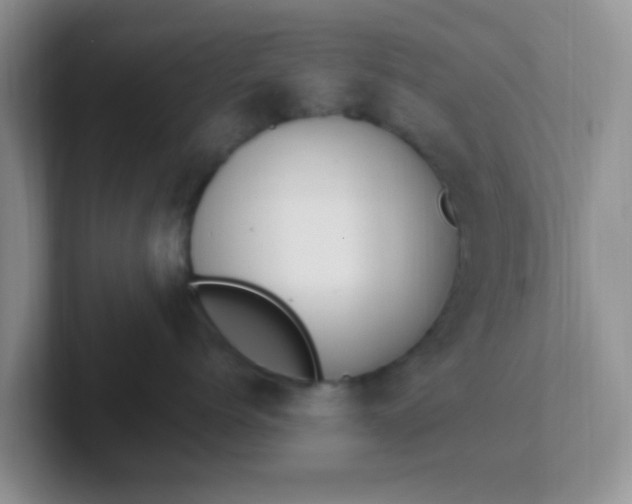 X0000102310768200808081606