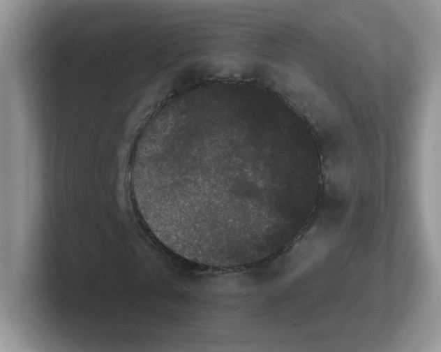 X0000102310769200808081605