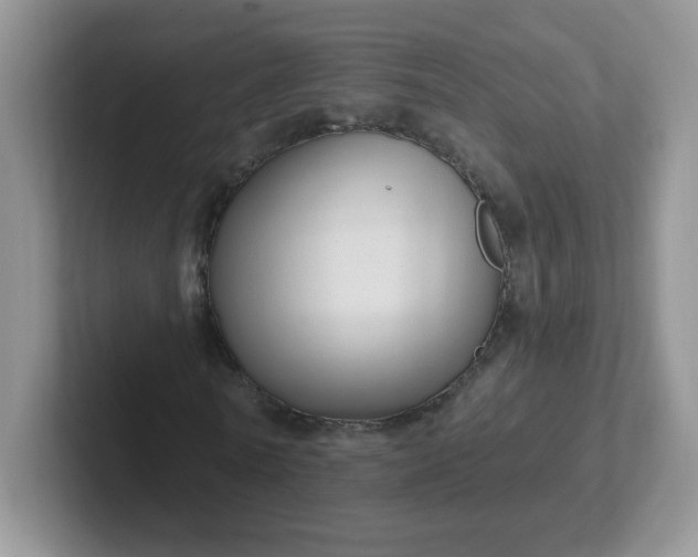 X0000102310770200808081605