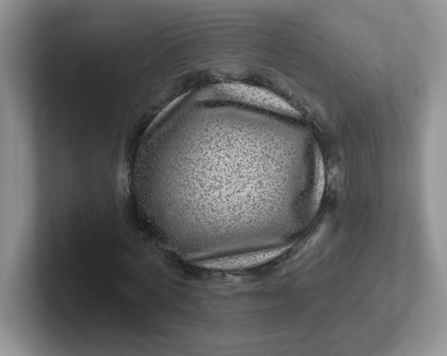 X0000102310772200808081605