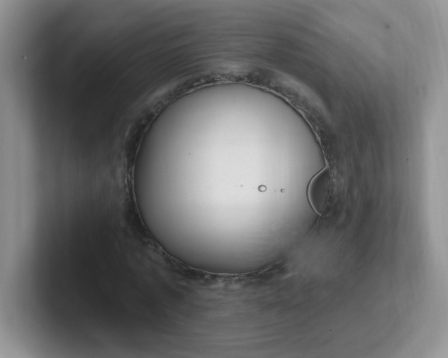 X0000102310773200808081605