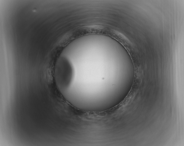 X0000102310774200808081605