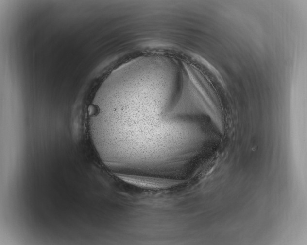 X0000102310775200808081605