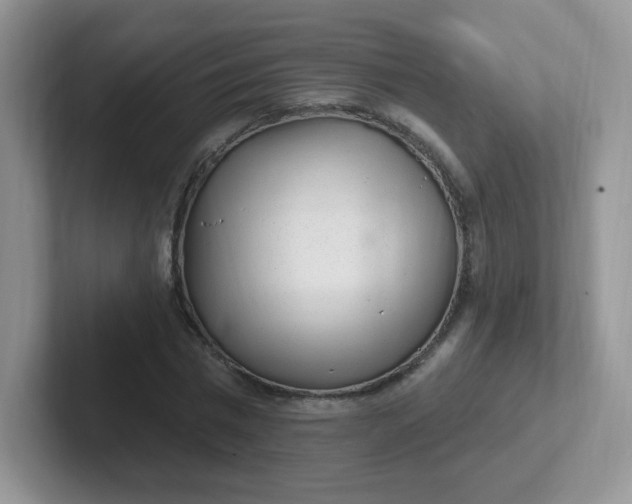 X0000102310777200808081605