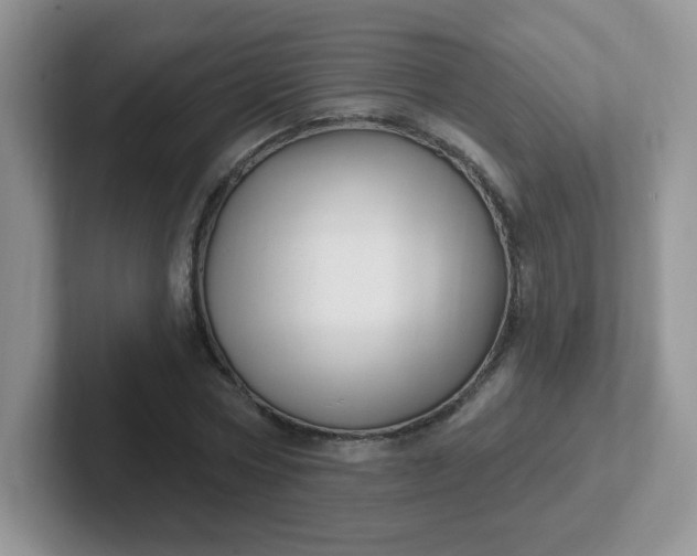 X0000102310778200808081605