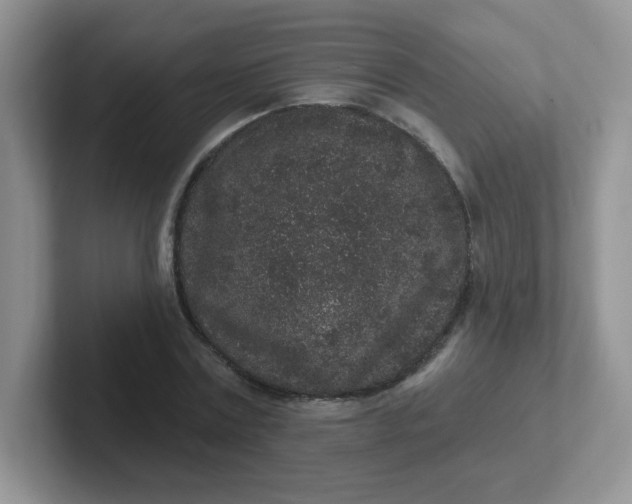 X0000102310779200808081605