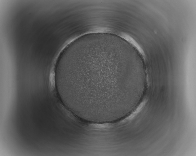 X0000102310781200808081605