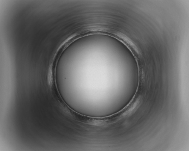 X0000102310782200808081605