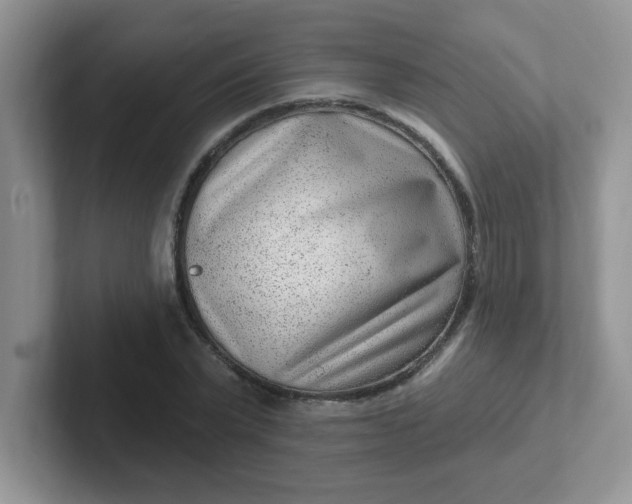 X0000102310783200808081605