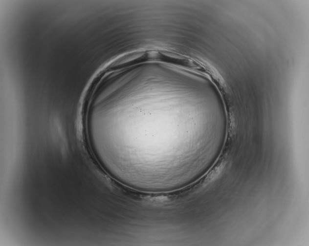 X0000102310784200808081605