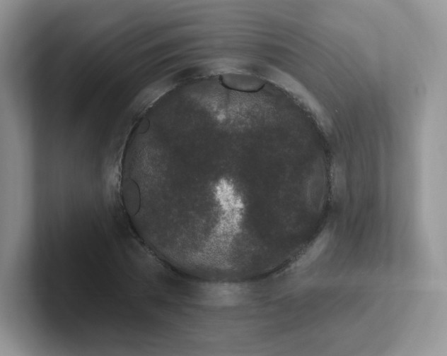 X0000102310785200808081605