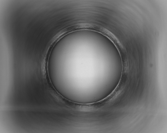 X0000102310786200808081605