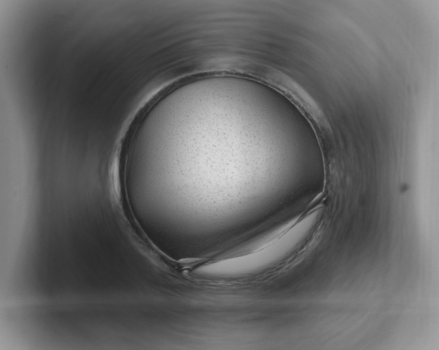 X0000102310788200808081604