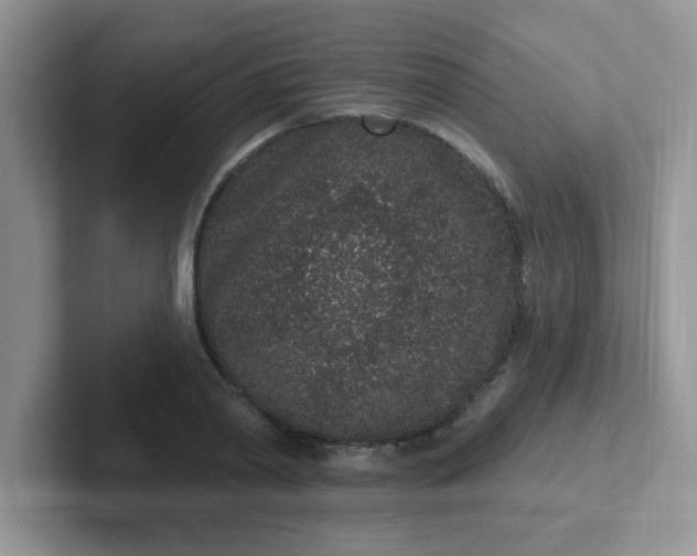 X0000102310790200808081604