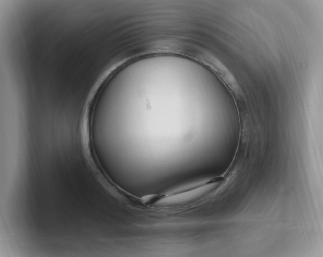 X0000102310796200808081604