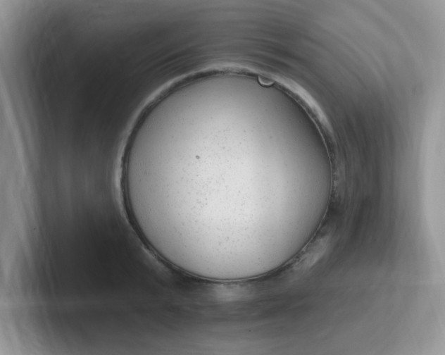 X0000102310799200808081604