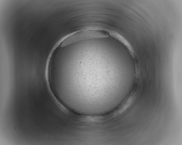 X0000102310803200808081604