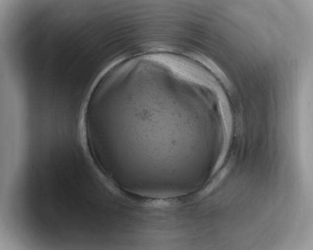 X0000102310806200808081604