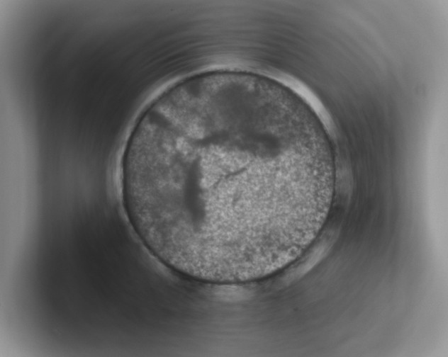 X0000102310807200808081604