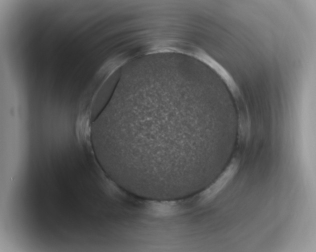 X0000102310809200808081604