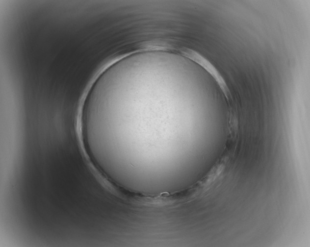 X0000102310811200808081604