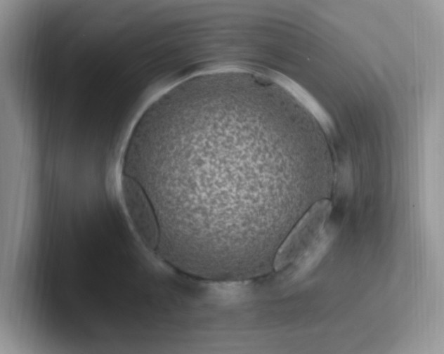 X0000102310813200808081604