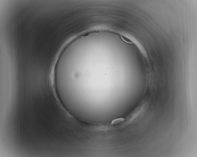 X0000102310815200808081604