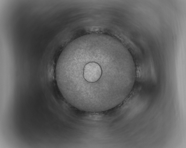 X0000102310820200808081603