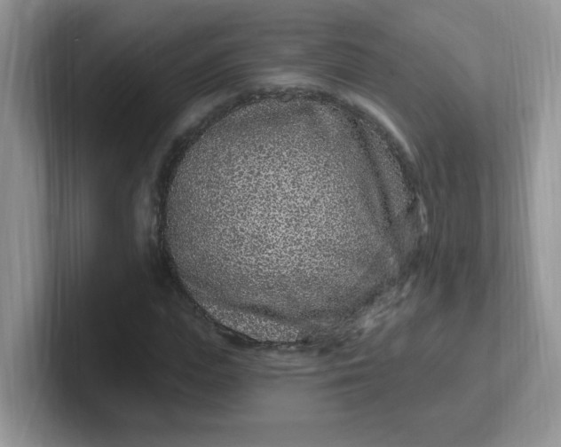 X0000102310823200808081603