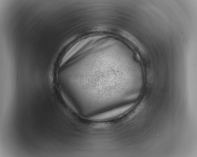 X0000102310826200808081603