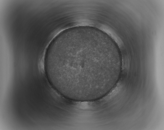 X0000102310828200808081603