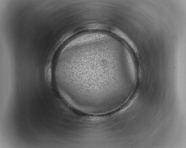 X0000102310829200808081603