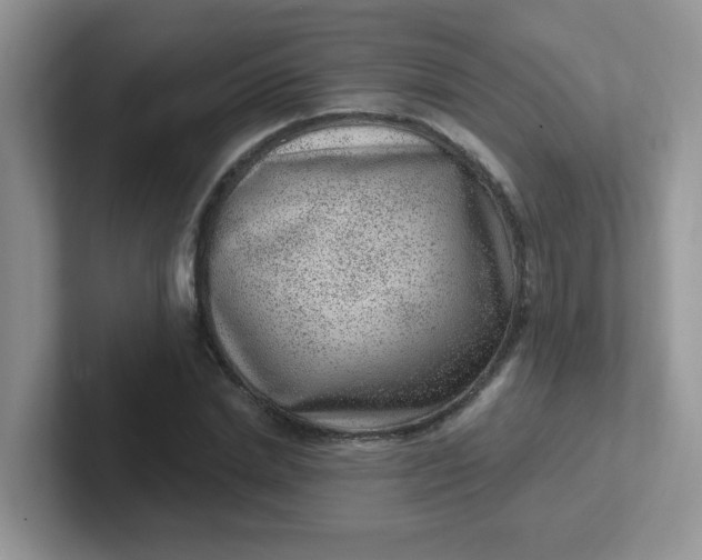 X0000102310830200808081603