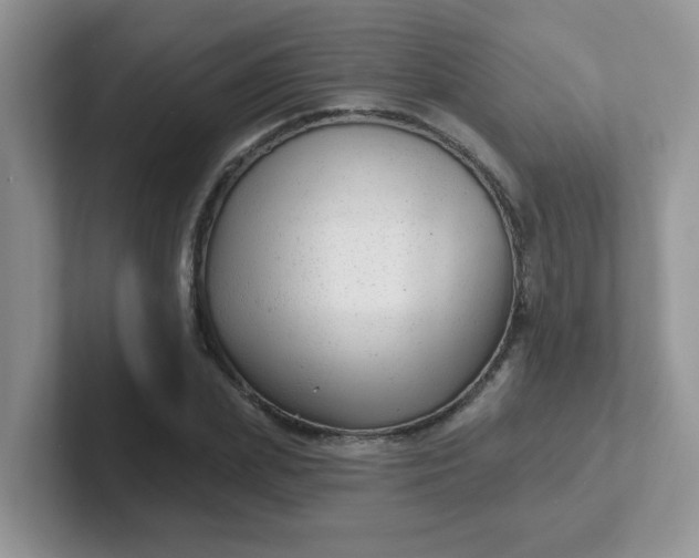 X0000102310831200808081603