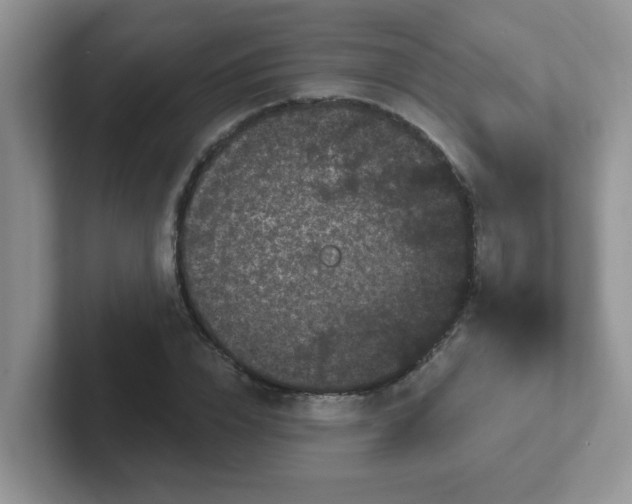 X0000102310832200808081604