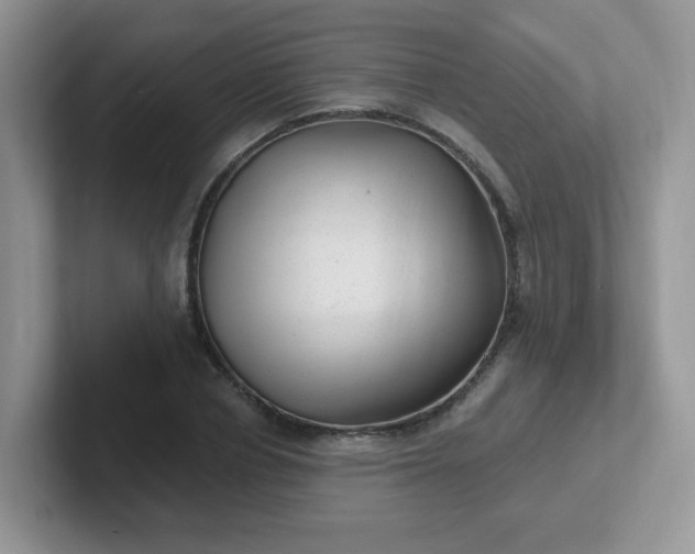 X0000102310834200808081604